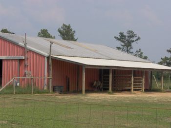 Stables